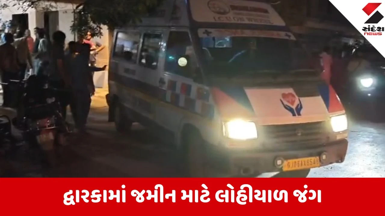 Dwarka: કલ્યાણપુરના માદેવીયા ગામે કૌટુંબિક ભાઈઓ વચ્ચે ધડાધડ ફાયરિંગ, 2 લોકો લોહીલુહાણ