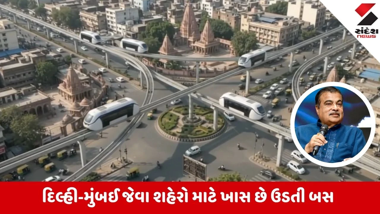 India માં દોડશે હવામાં ઉડતી બસ! નિતિન ગડકરીએ શેર કર્યો Video