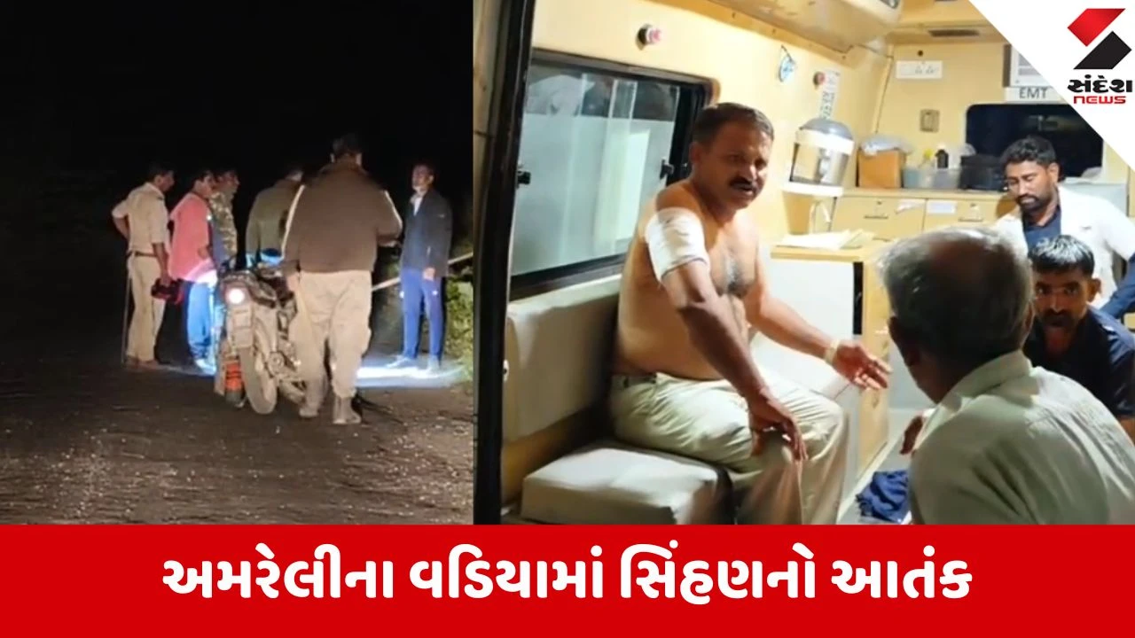 Amreli: અરજણસુખમાં એક પછી એક 4 લોકો પર સિંહણે હુમલો કર્યો, ગામમાં ભારે ફફડાટ!
