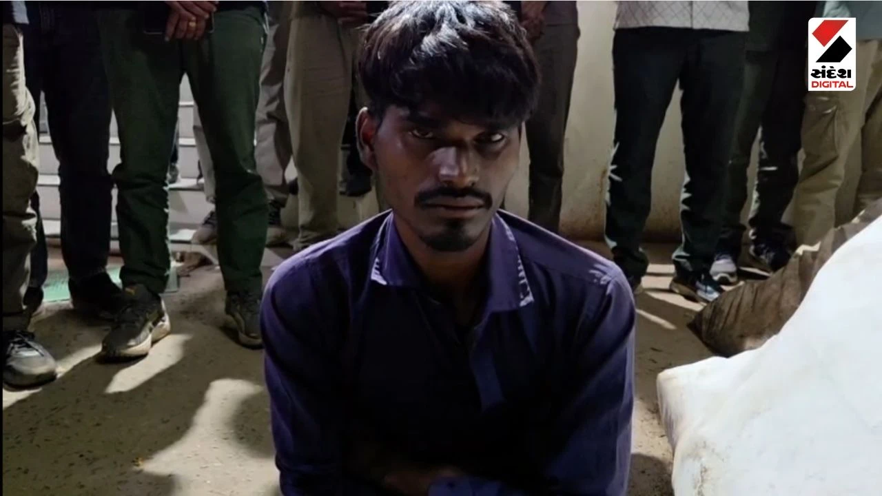 Kheda News: ACB Trap: Advocate Arrested Taking ₹2.50 Lakh Bribe for ASI