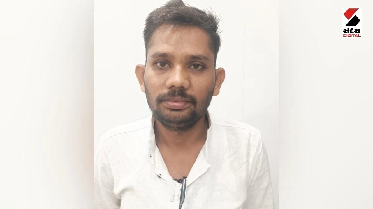 Sabarkantha News: SOG Raids Poshina, Seizes Ganja Worth Over ₹2 Crore Hidden in Cotton Farm
