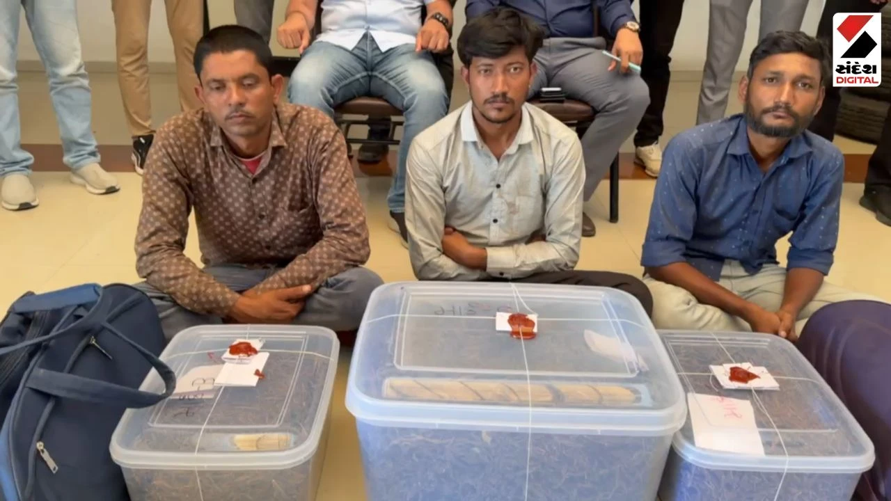 Rajkot News: SOG Raids: 16.5 Kg Ganja Seized, Three Arrested from Maharashtra at Gondal Chowkdi