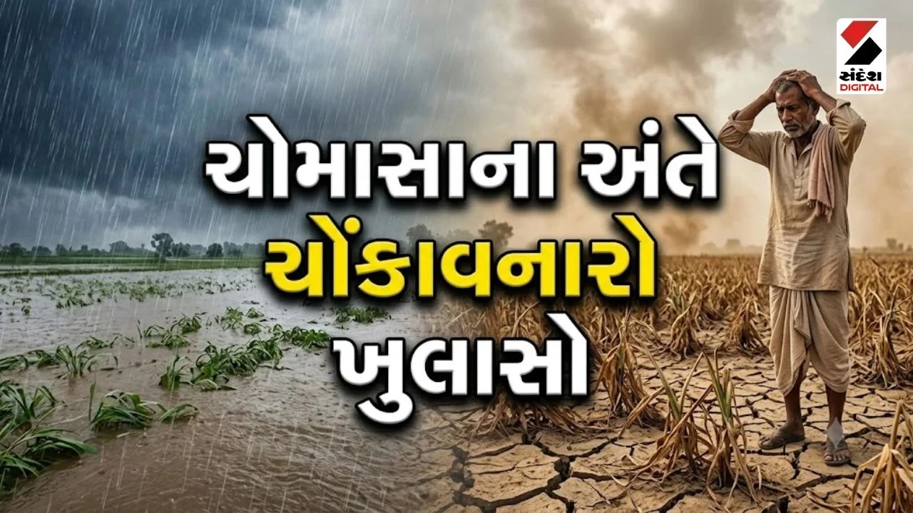 Ahmedabad: ગુજરાતમાં 4 વર્ષનો સૌથી ઓછો વરસાદ, દ્વારકા-કચ્છ સુકાભઠ્ઠ છતાં નર્મદા મૈયાએ તાર્યા!