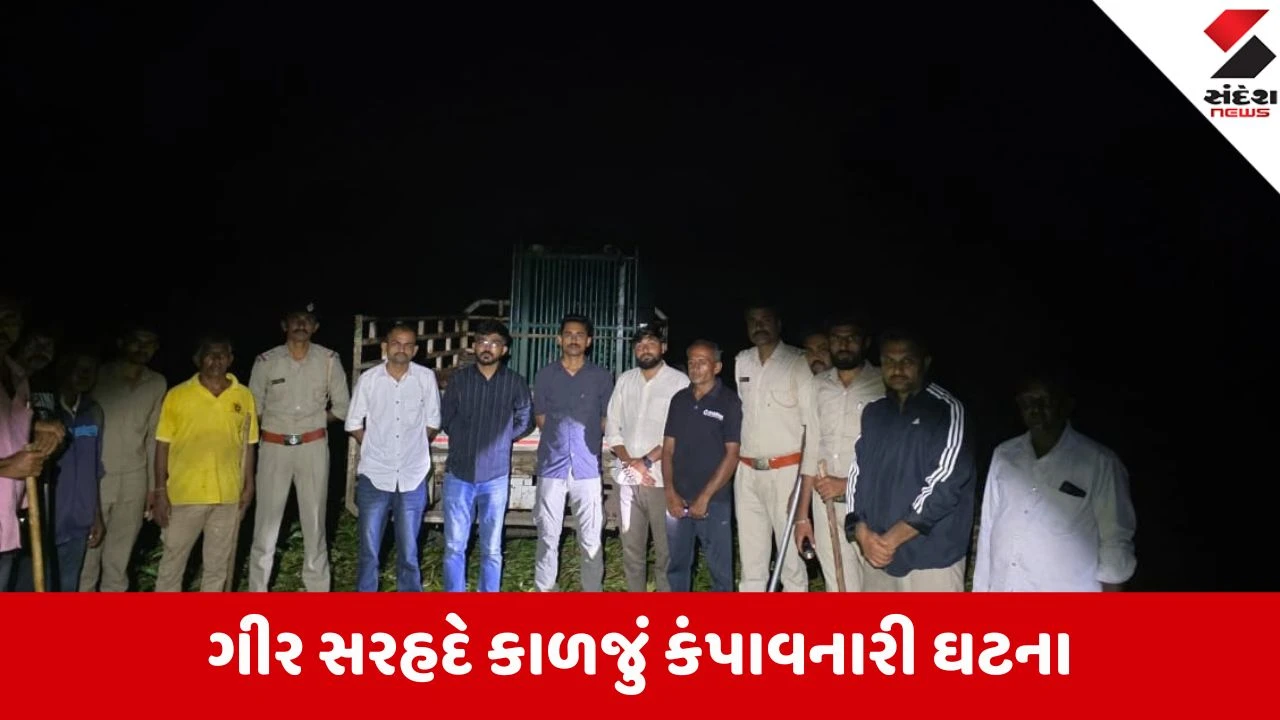 Gir Somnath: સણોસરીમાં કાળજું કંપાવતી ઘટના; દીપડાએ 3 વર્ષના માસૂમને ફાડી ખાધો, માનવભક્ષી દીપડો પાંજરે પુરાયો