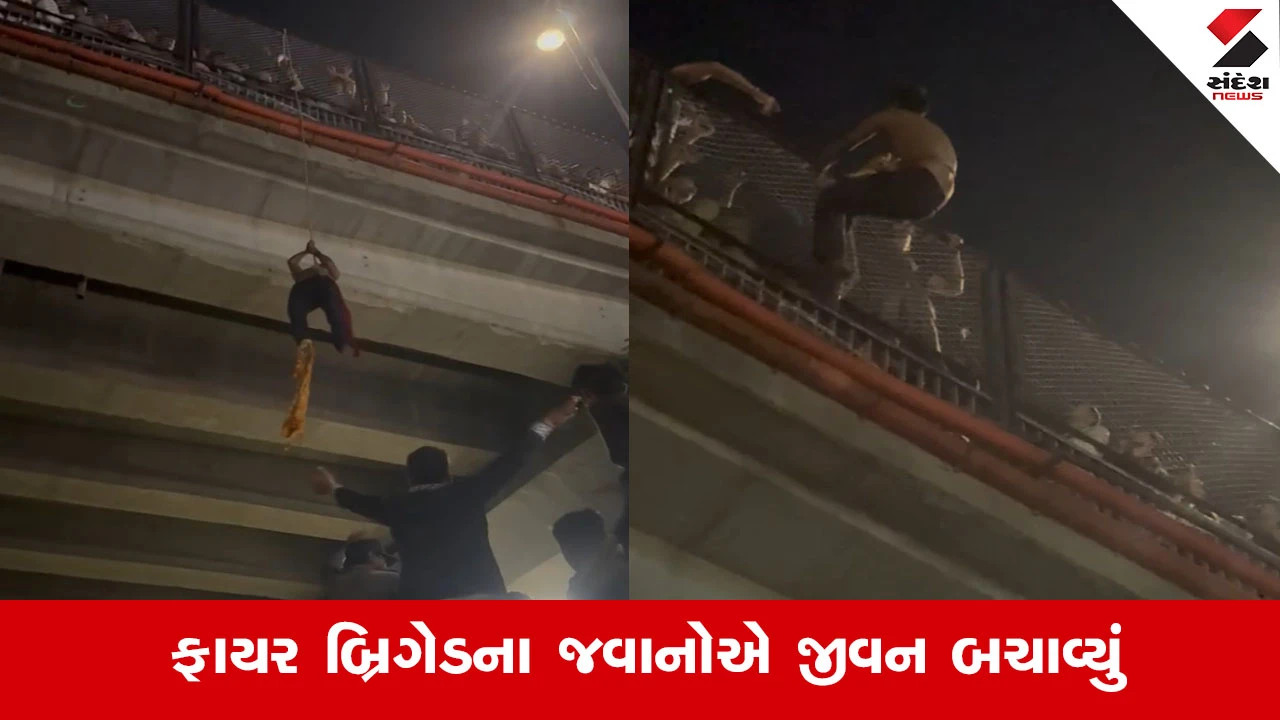 Ahmedabadના એલિસ બ્રિજ પર મોડી રાત્રે હાઈવોલ્ટેજ ડ્રામા, યુવકે બ્રિજ પરથી કૂદવાનો પ્રયાસ કરતાં મચી અફરાતફરી!