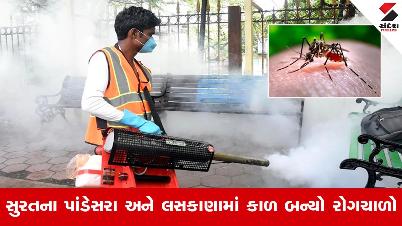 Suratમાં વરસાદી વિરામ બાદ રોગચાળાનો ઘાતક કહેર, તાવ, ઝાડા અને ઉલટીથી વધુ બે નાગરિકોના મોત...