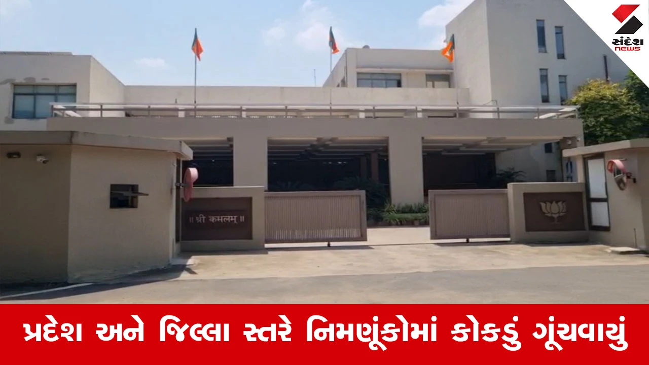 Gandhinagar News : ગુજરાત ભાજપમાં સંગઠનાત્મક માળખું ખોરવાયું, 13 વિવિધ સેલની નિમણૂંક છેલ્લા એક વર્ષથી અટવાઈ
