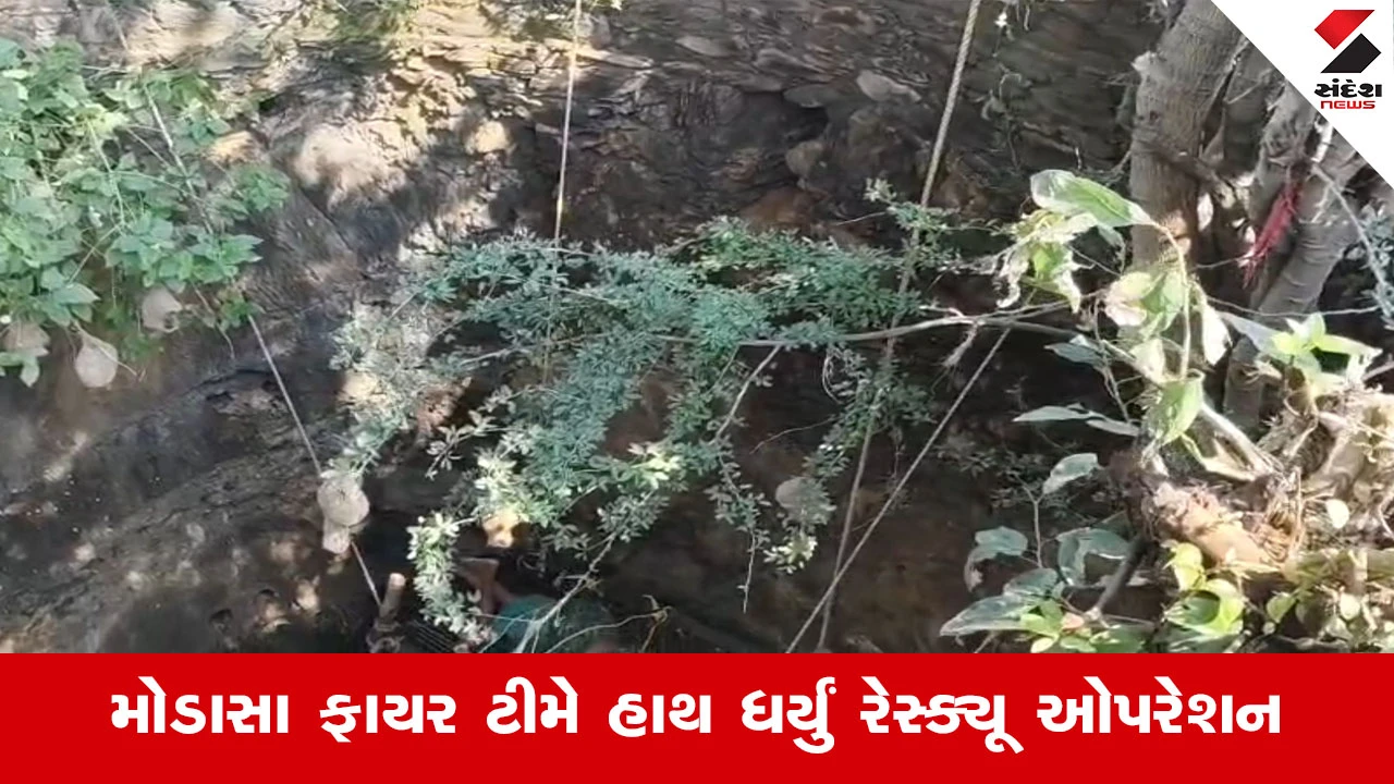 Aravalli News : માલપુરના નેસડા ગામે કરૂણાંતિકા, માતાએ 2 વર્ષની બાળકી સાથે કૂવામાં ઝંપલાવતા બંનેના મોત