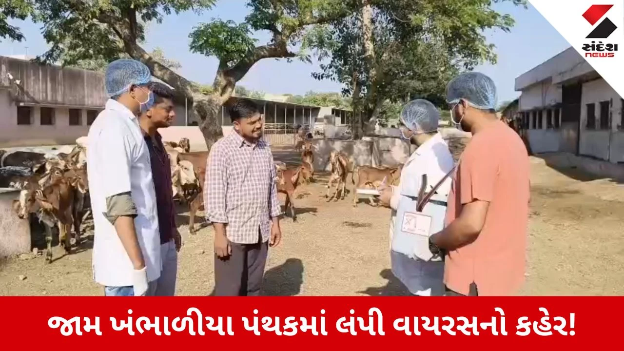Dwarka News: જામ ખંભાળીયામાં લંપી વાયરસની દસ્ક્ત, પશુઓમાં લક્ષણો જણાતા પશુપાલકોમાં ભારે ચિંતા!