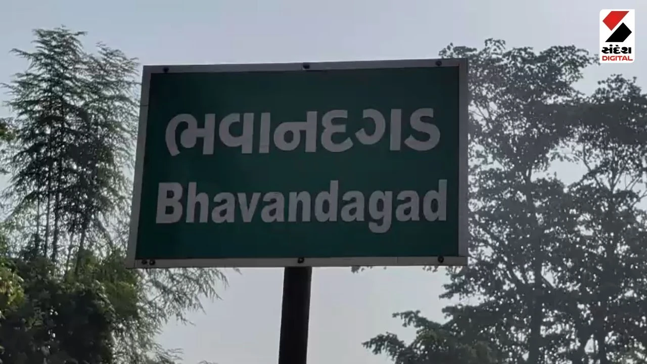 Dang News: Younger Brother Murders Elder Brother Over Job Dispute in Ahwa