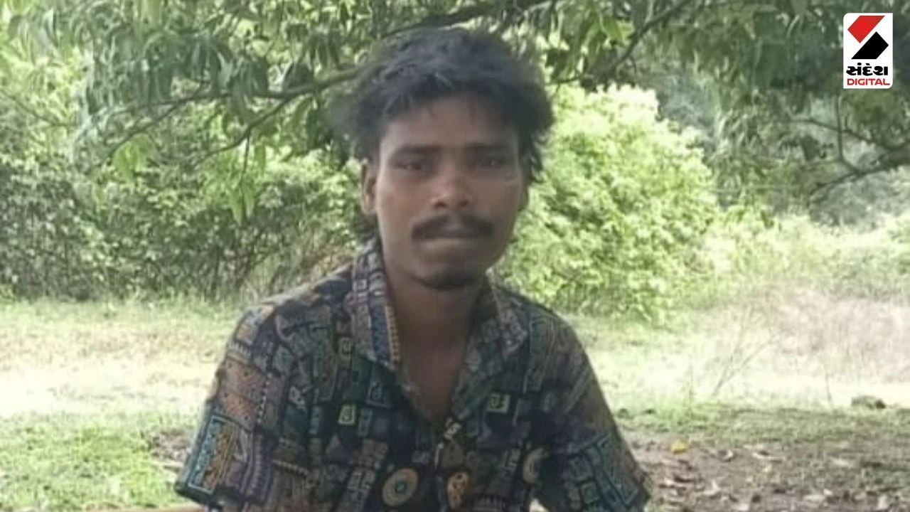 Dang News: Younger Brother Murders Elder Brother Over Job Dispute in Ahwa
