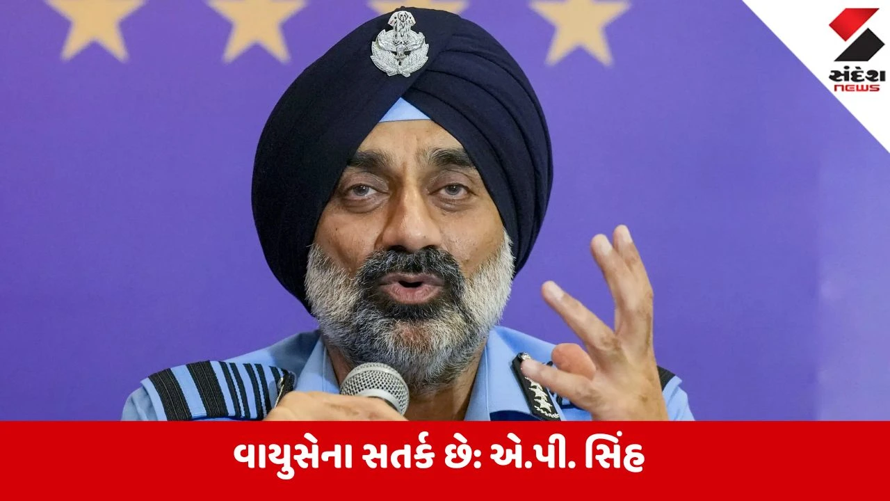 એર ચીફ માર્શલ સિંહે કહ્યું, 'કોઈપણ પડકારનો સામનો કરવા તૈયાર'