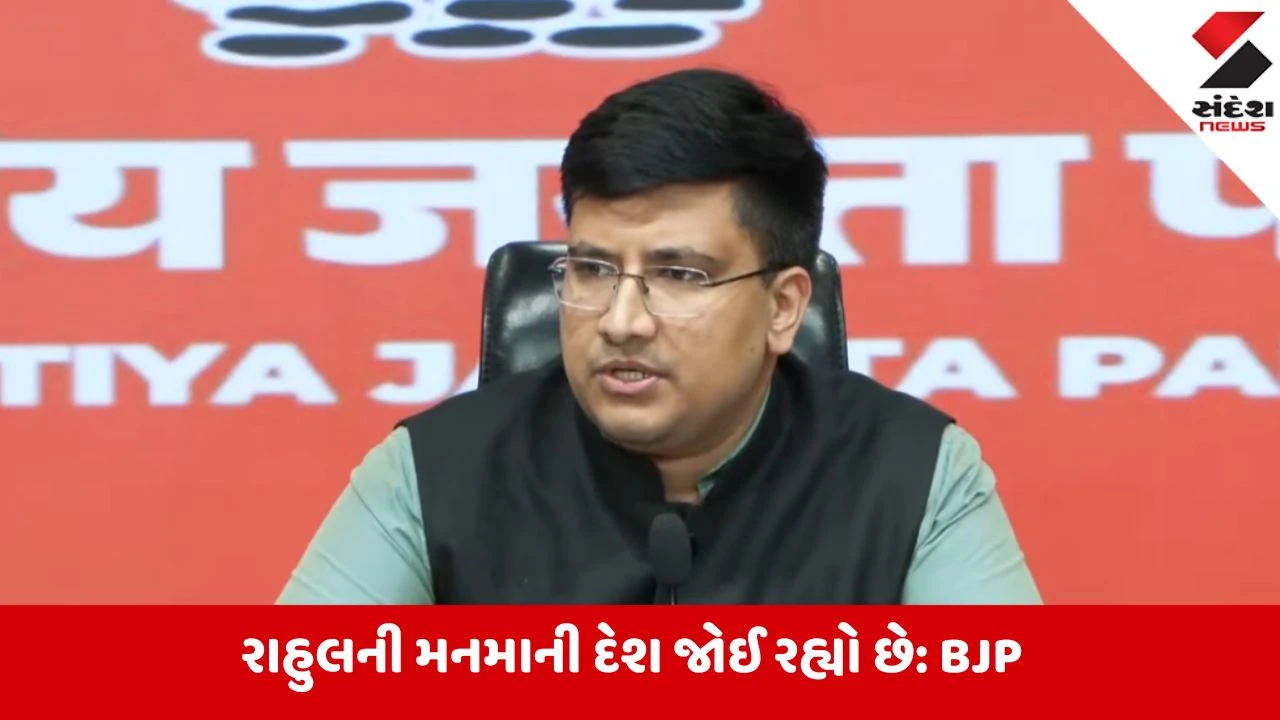 ભાજપનો કોંગ્રેસ પર પ્રહાર: "રાહુલ ગાંધી દેશમાં અરાજકતા ફેલાવી રહ્યા છે"