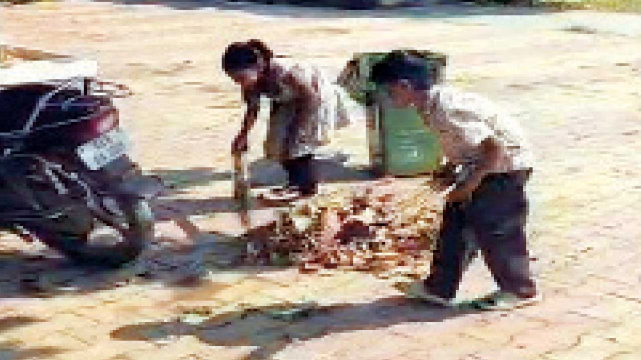 Vadodara : શાળાના બાળકો પાસે સાફ-સફાઈ કરાવાતી હોવાનો સરપંચનો આક્ષેપ