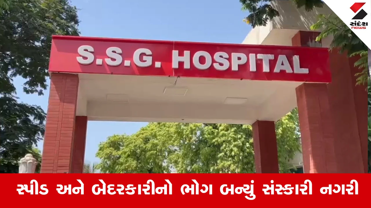 Vadodara News : બેફામ ડ્રાઇવિંગ કે ટ્રાફિકની બેદરકારી? 24 કલાકમાં 14 અકસ્માતથી રાહદારીઓમાં ભય
