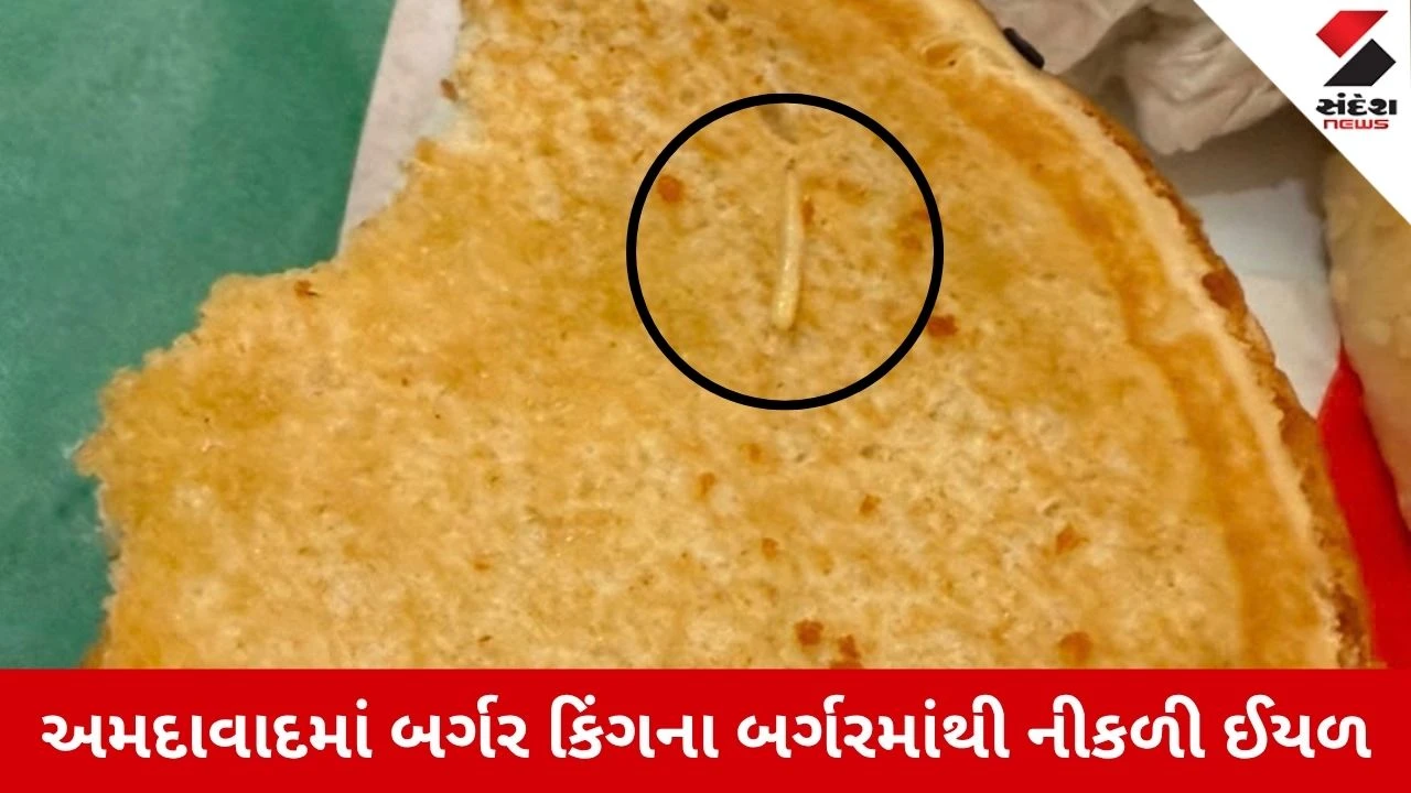 Ahmedabad News: બર્ગર ખાતા પહેલા સાવધાન! બર્ગર કિંગના બર્ગરમાંથી નીકળી ઈયળ, Video
