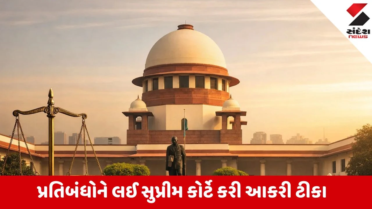 દિલ્હી મેટ્રો પ્રતિબંધો પર સુપ્રીમ કોર્ટની આકરી ટીકા: 'માખી મારવા હથોડો ન વાપરો'