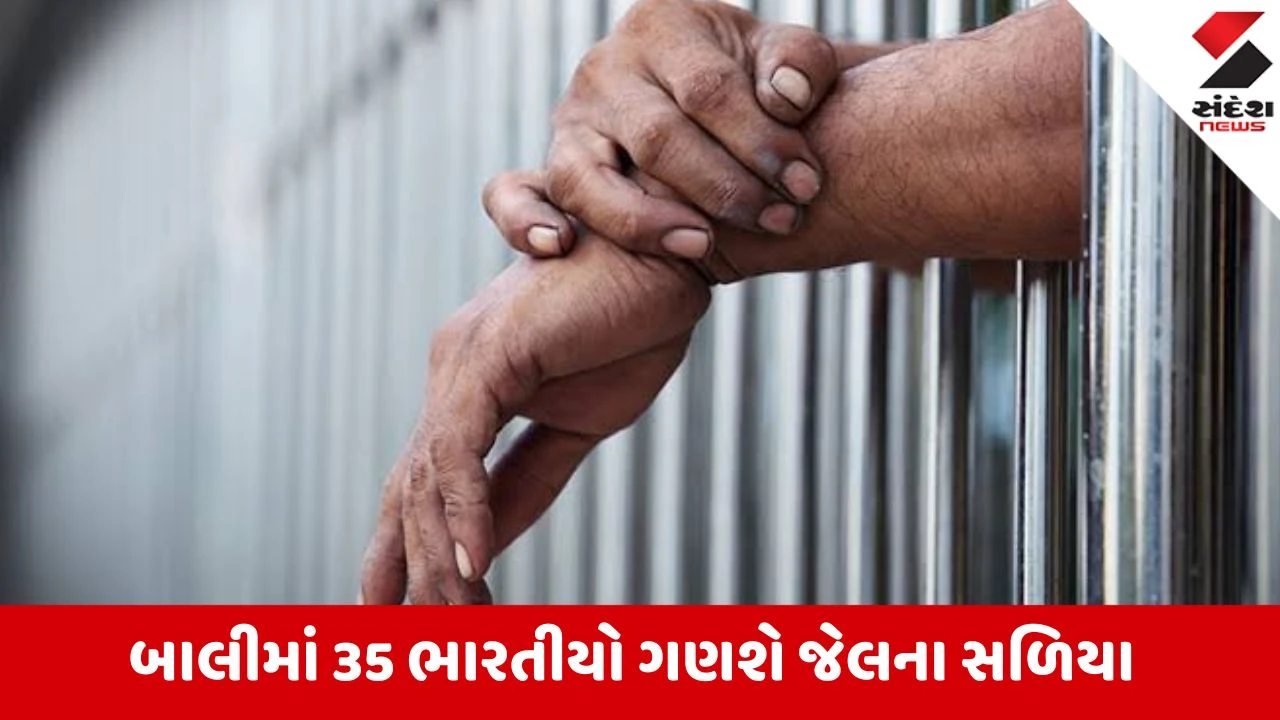બાલીમાં ઓનલાઈન જુગાર ચલાવતા 35 ભારતીયોને જેલ, દેશનિકાલનો આદેશ