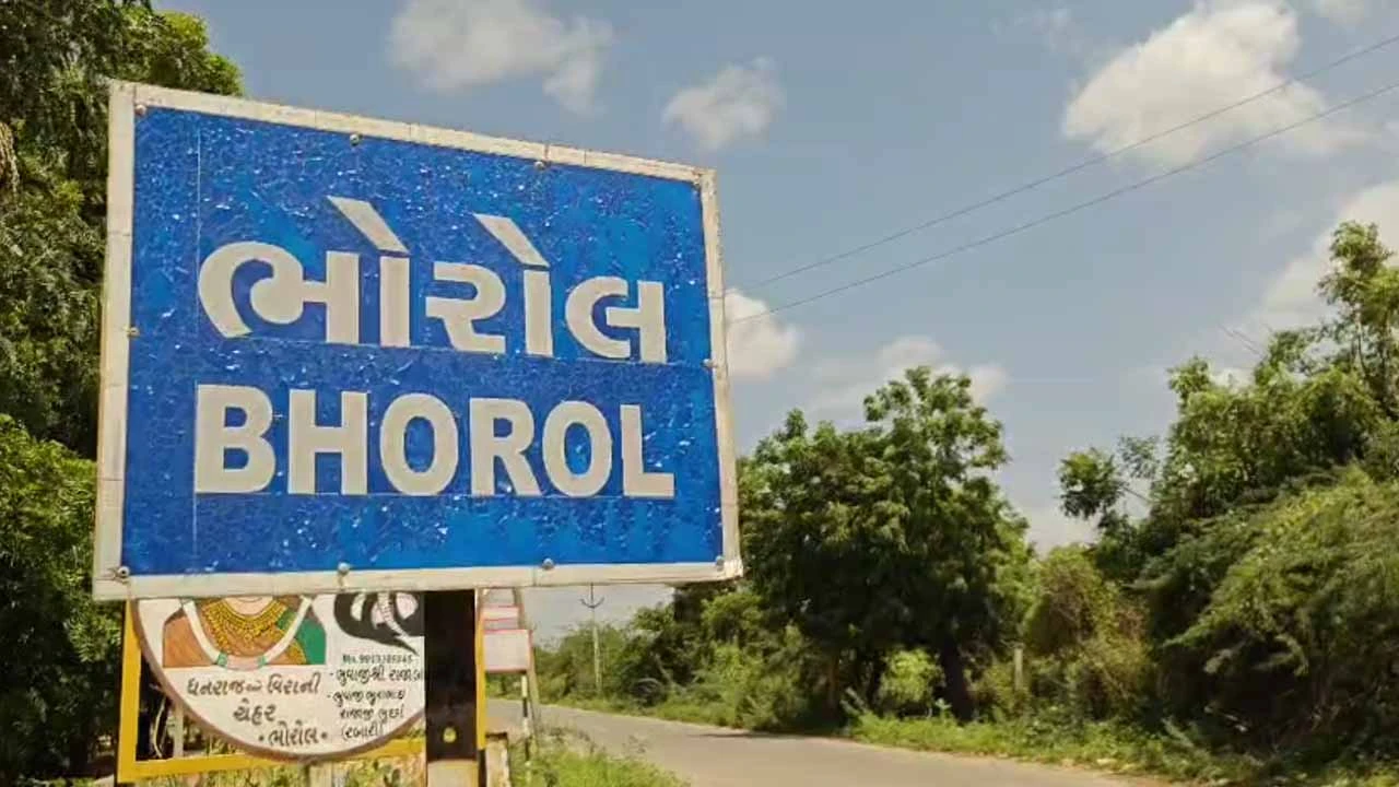 Vav-Tharad: Cattle herders of Bhoral village on the verge of disaster