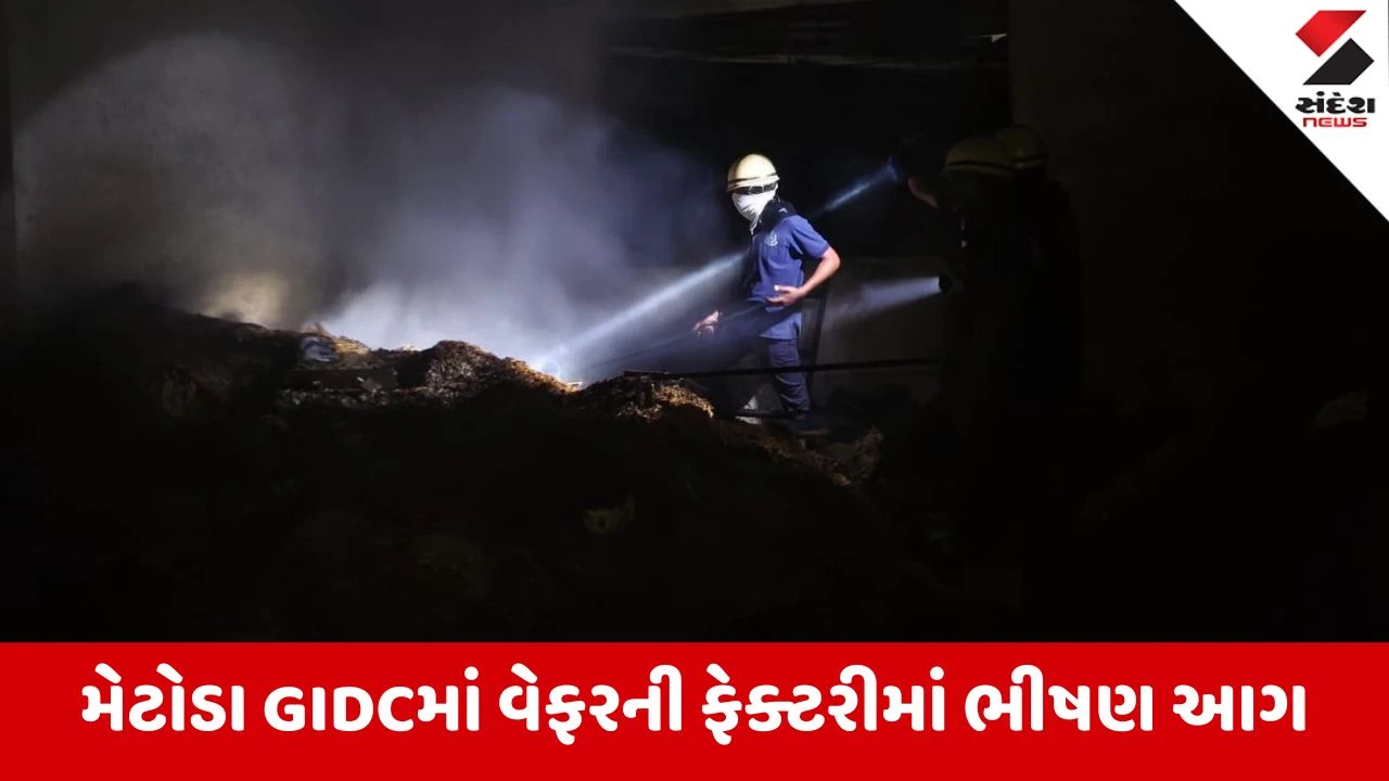 Rajkot: મેટોડા GIDCમાં પરાગ વેફરની ફેક્ટરીમાં ભીષણ આગ; લાકડાના ભૂસામાં તણખો ઝરતાં દોડધામ