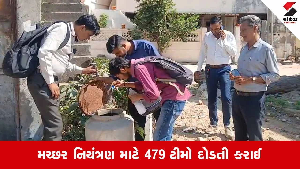 બનાસકાંઠાના પાલનપુરમાં ડેન્ગ્યુના 6થી વધુ કેસ