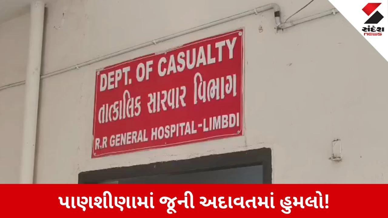 Surendranagar News: લીંબડીમાં અમાસના મેળામાં ખૂની ખેલ, અંગત અદાવતમાં બે વ્યક્તિઓ પર ઘાતકી હુમલો