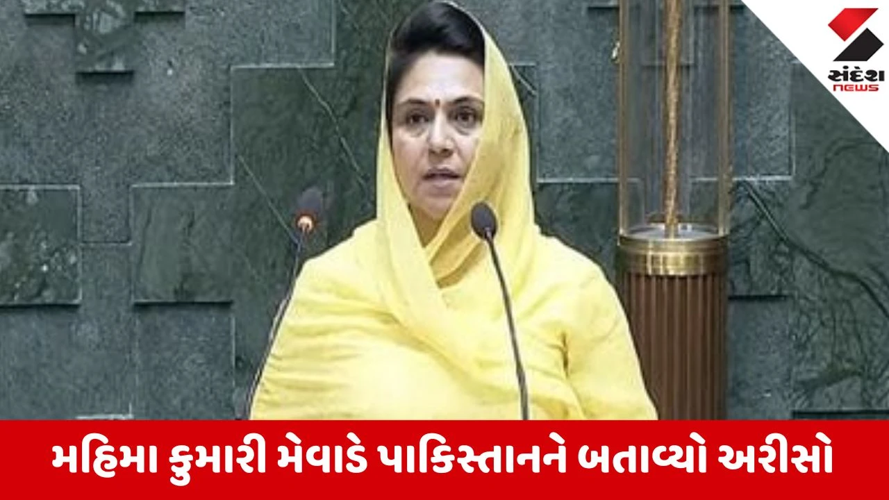 UN માં ભારતે પાકિસ્તાનને આડે હાથ લીધું