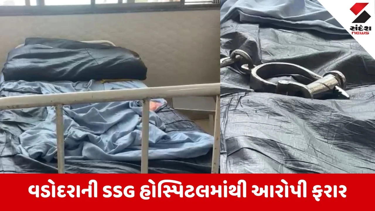 વડોદરા SSG હોસ્પિટલમાંથી ગુજસીટોક આરોપી મોહસીન મીંડી પોલીસ જાપ્તામાંથી ફરાર