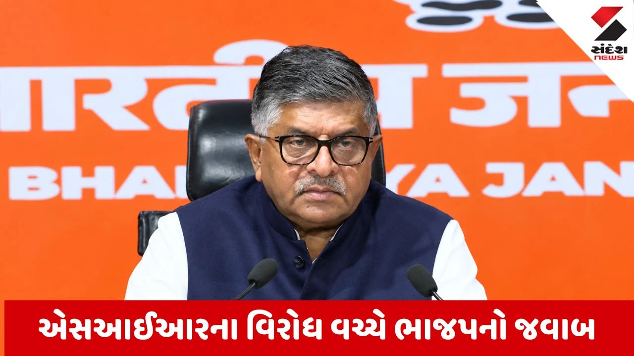 રવિશંકર પ્રસાદે વિપક્ષ પર ઘૂસણખોરોને મતદાર બનાવવાના મુદ્દે પ્રહાર કર્યા