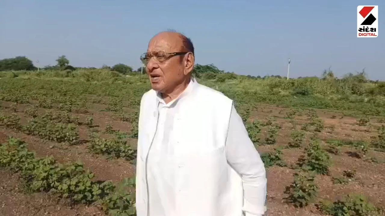 Amreli News: Former CM Shankersinh Vaghela Visits Amreli; Urges Gujarat Govt to Declare Drought and Help Farmers
