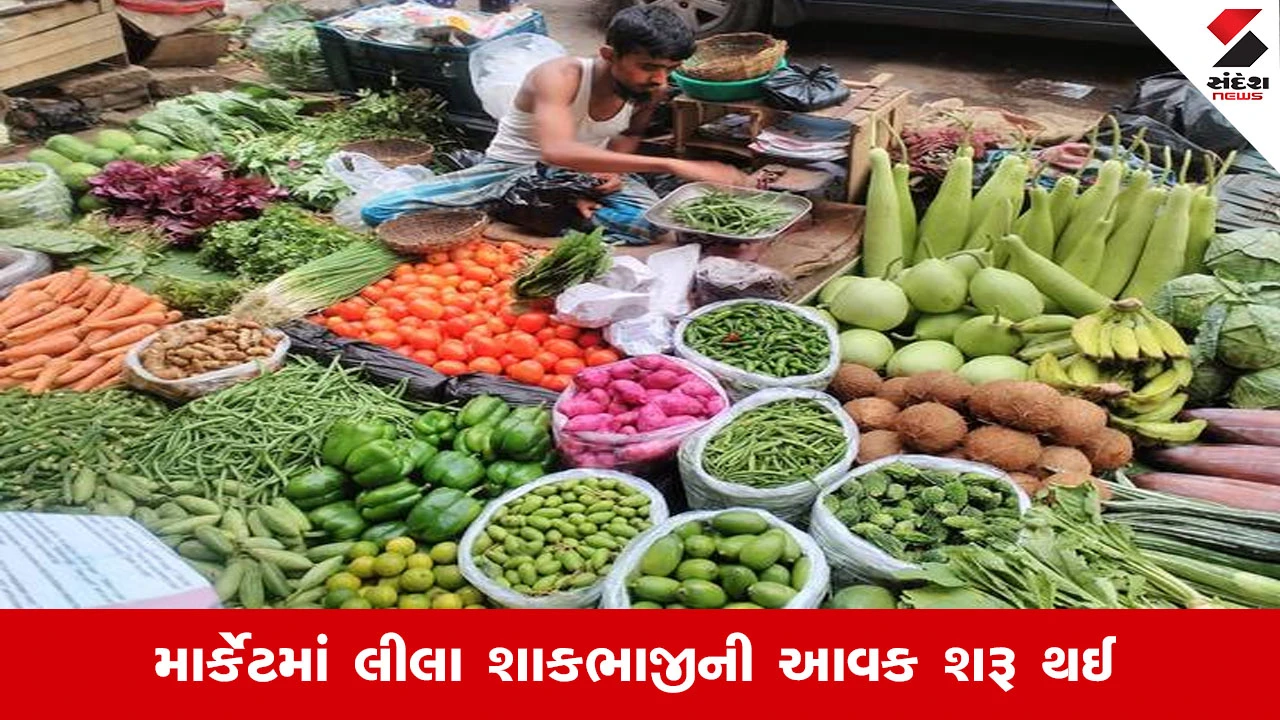 રાજકોટમાં શિયાળુ શાકભાજીના ભાવ આસમાને: વાલ, લીલું લસણ, વટાણા અને ડુંગળી લીલી મોંઘી