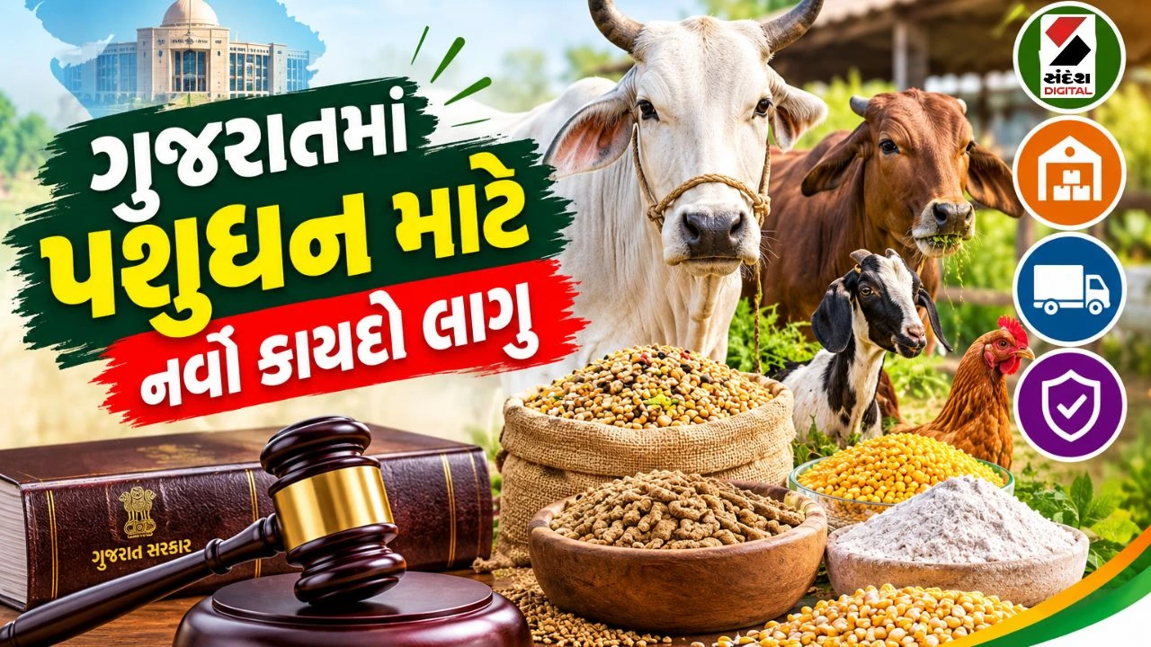મૂંગા પશુઓ માટે ઐતિહાસિક નિર્ણય: રાજ્યપાલની મંજૂરી બાદ ગુજરાતમાં ‘પશુધન આહાર કાયદો 2026’ આજથી જ લાગુ!