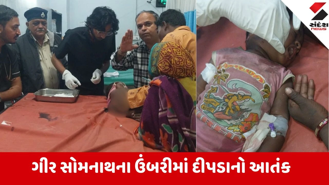 દીપડાએ ઝૂંપડીમાંથી અઢી વર્ષના બાળકને 200 મીટર ઢસડ્યું