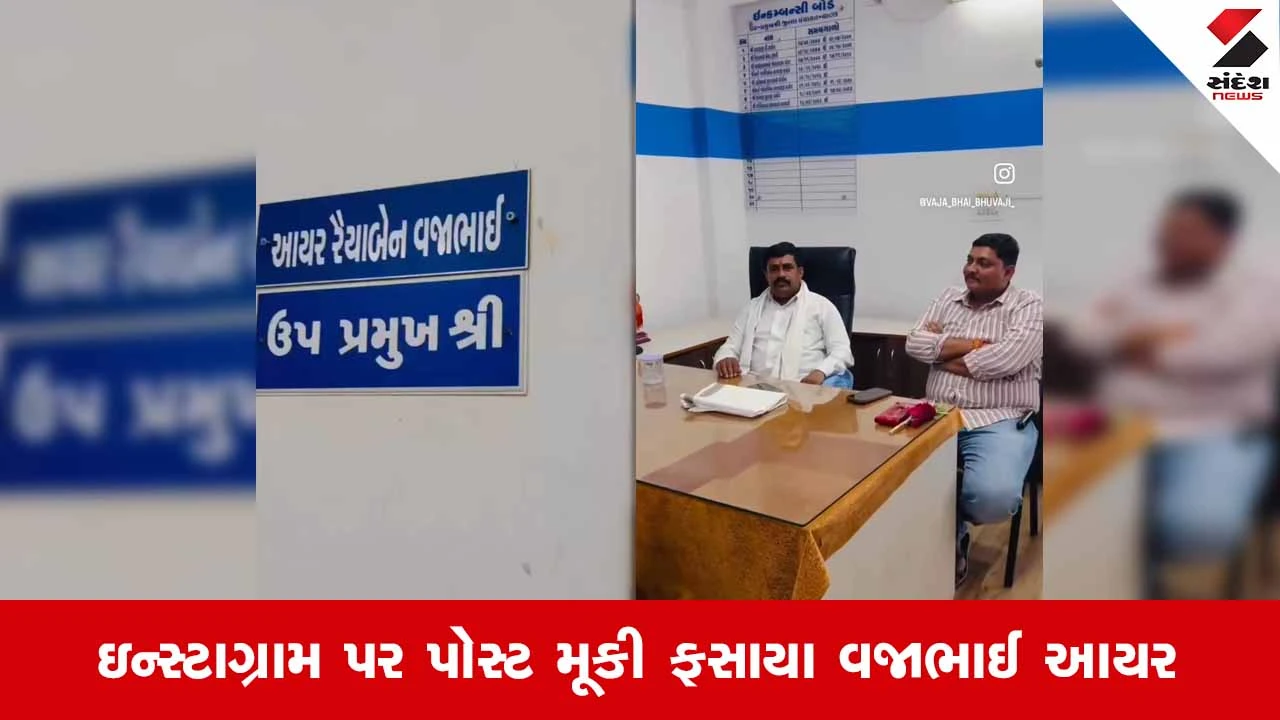 પાલનપુર જિલ્લા પંચાયતમાં મહિલા ઉપપ્રમુખના સ્થાને પતિનો દબદબો