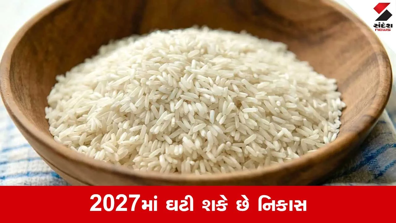 ચોખાના ભાવમાં 10% ઉછાળો: ઘરગથ્થુ બજેટ અને નિકાસ પર અસર