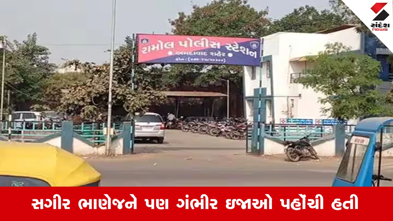 ગાળો બોલવાની ના પાડતાં મામાએ ભાણેજની હત્યા કરી