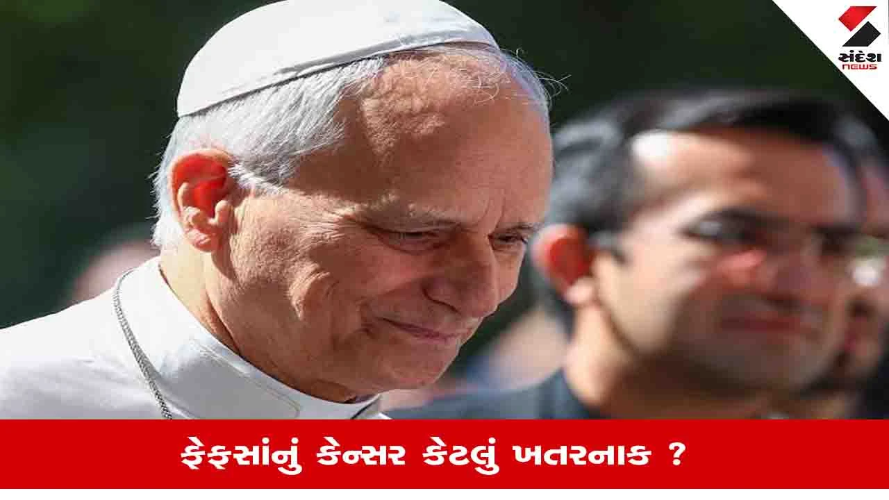 પોપ લિયોનને ફેફસાનું કેન્સર, 20 ઓક્ટોબર સુધી કાર્યક્રમો રદ