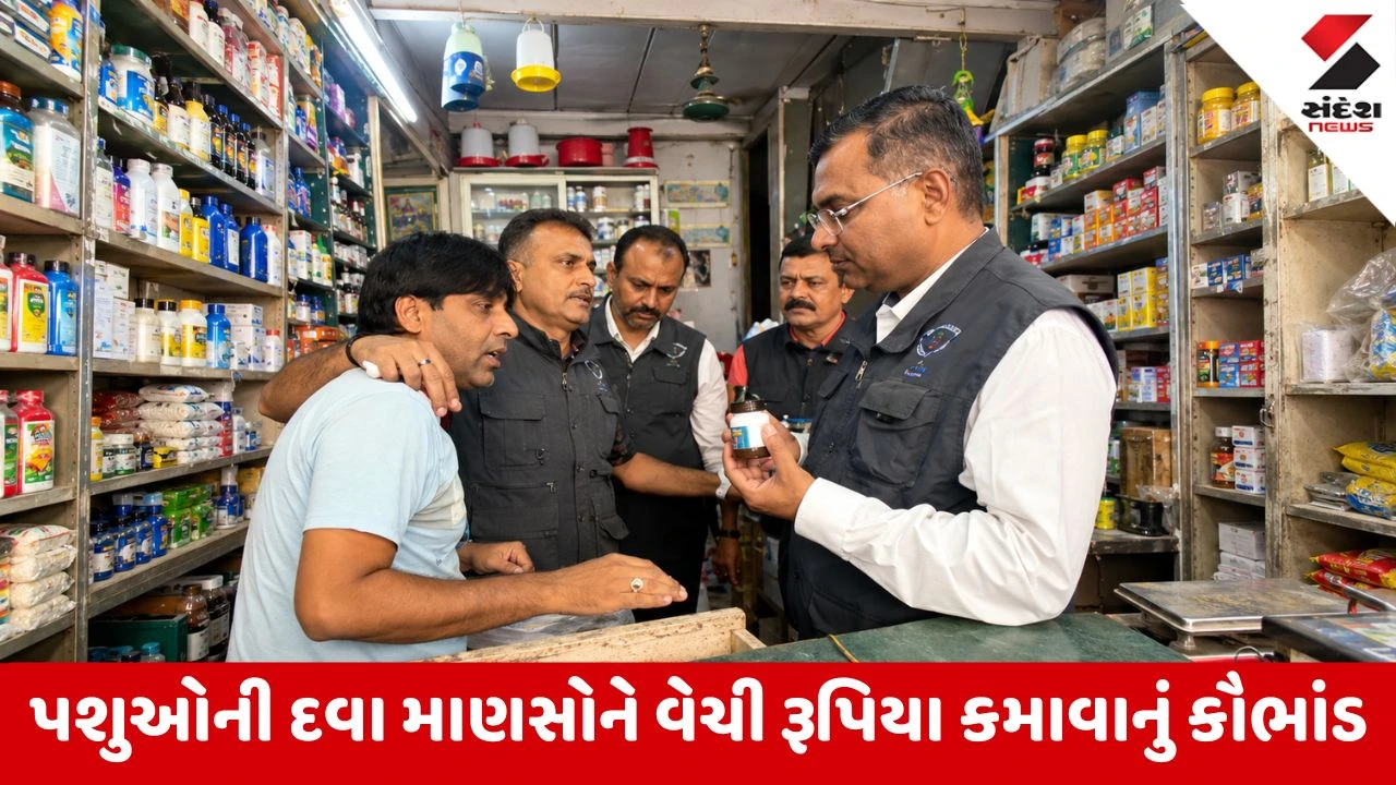 સુરતમાં પશુઓની લિવ. 52 દવા માણસોને વેચવાનું રેકેટ ઝડપાયું, એક આરોપીની ધરપકડ