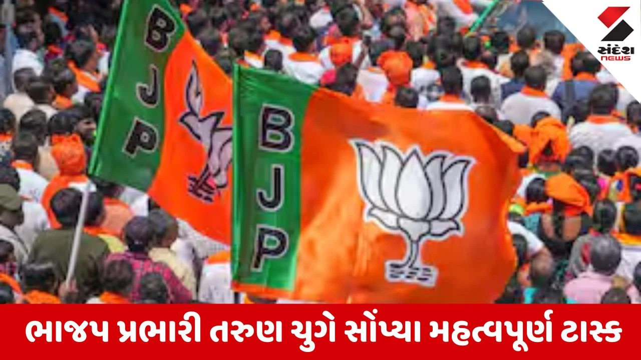 Gujarat : મિશન 2027 અંતર્ગત આદિવાસી વિસ્તારની 27 બેઠકો જીતવા ભાજપે ઘડી આક્રમક રણનીતિ