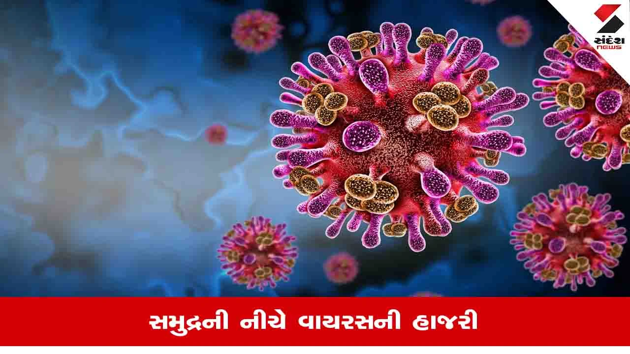ચીને સમુદ્રમાંથી શોધ્યા 11,700 નવા વાયરસ