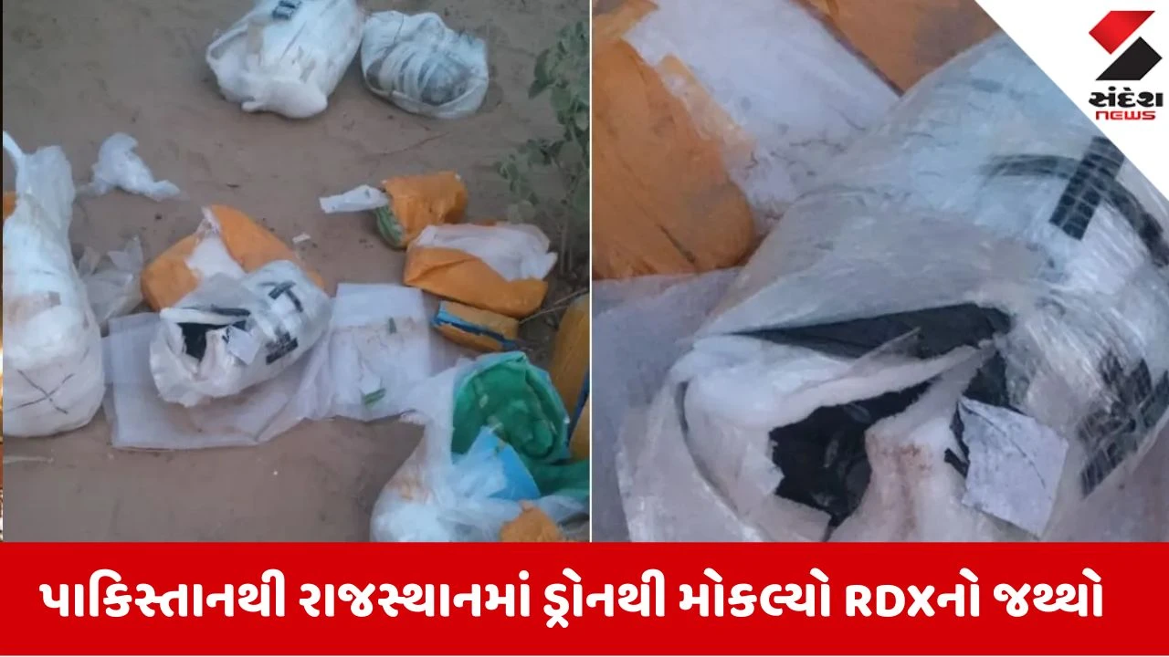 પાકિસ્તાન બોર્ડર પર ડ્રોનથી આવેલા હથિયારો-વિસ્ફોટકોનો જથ્થો જપ્ત