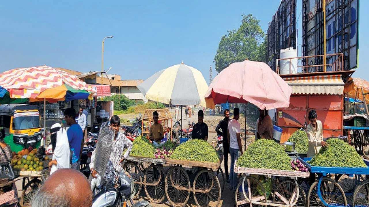Bharuch : જંબુસર એસ.ટી. ડેપો સર્કલ પાસે ગેરકાયદે લારીઓનો અડ્ડો
