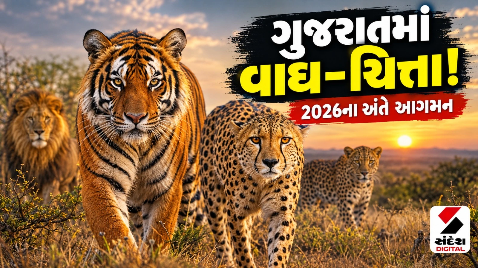 Kutch News: ચાલુ વર્ષના અંત સુધીમાં રાજ્યમાં થશે વાઘ અને ચિત્તાનું આગમન