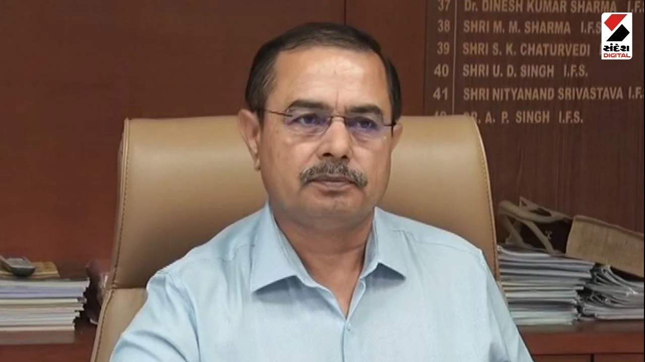 Kutch News: Gujarat to Welcome Tigers and Cheetahs by December 2026, Cat Family Hub