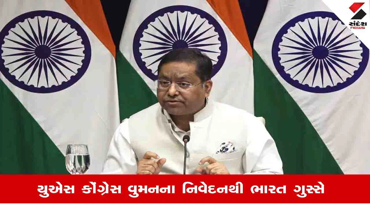 US India Politics: SIR પર અમેરિકી સાંસદના નિવેદન પર ભડક્યું ભારત, MEAએ કહ્યુ, 'અમારી લોકશાહીમાં દખલગીરી બંધ કરો!'