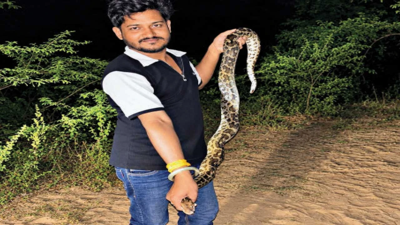 Gandhinagar : રાંદેસણમાં ધોળેશ્વર પાર્ક સાસોયટી પાસેથી 5 ફુટ લાંબો અજગર નિકળ્યો
