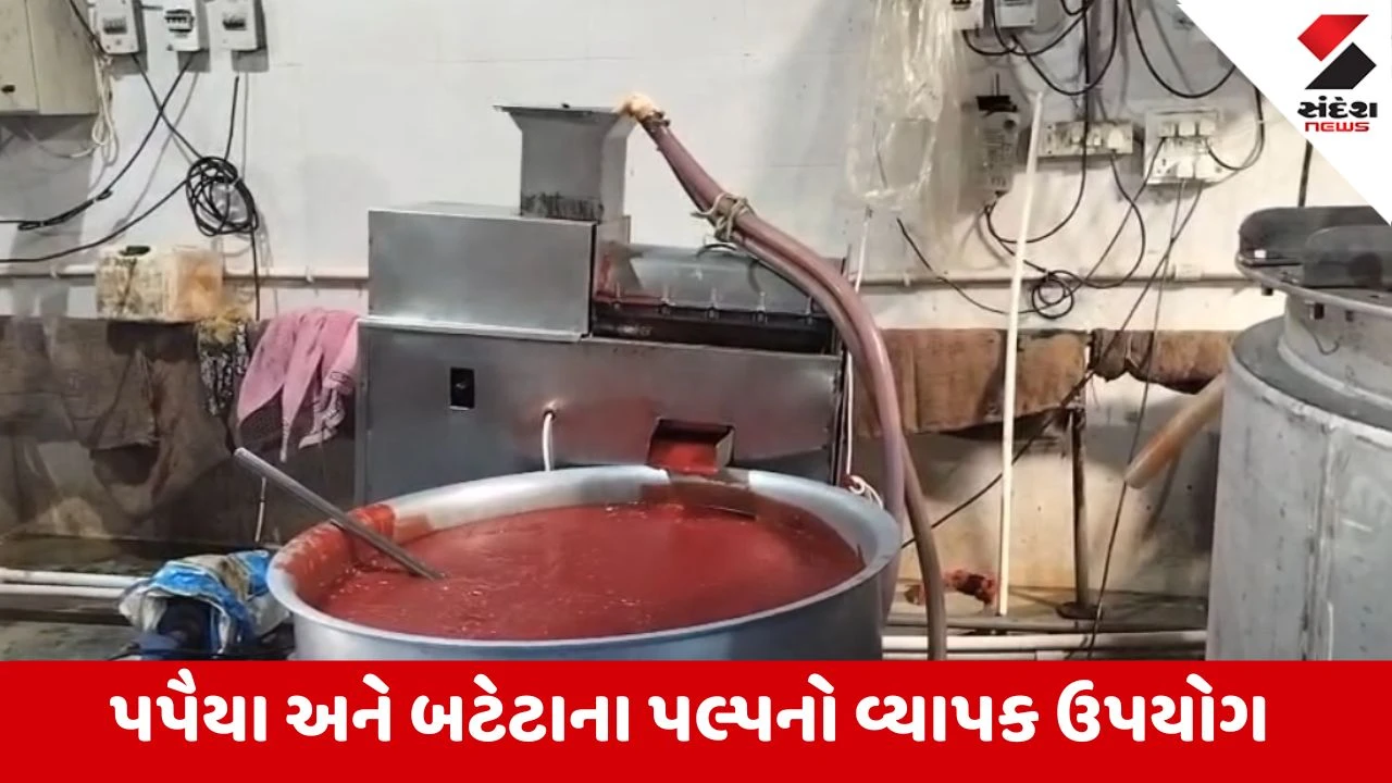 Ahmedabad : ગોતામાં નકલી સોસનો પર્દાફાશ,આઈ શ્રી ખોડિયાર પેઢીમાંથી 10,000 કિલો નકલી સોસનો જથ્થો જપ્ત