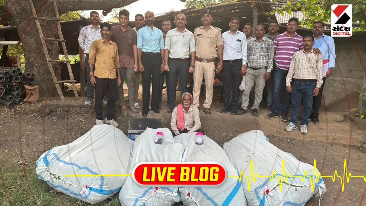 Gujarat Latest News Live : છોટાઉદેપુરના નસવાડીમાં ખેતરમાંથી લહેરાતો લીલો ગાંજો પકડાયો; 50 લાખનો જથ્થો જપ્ત