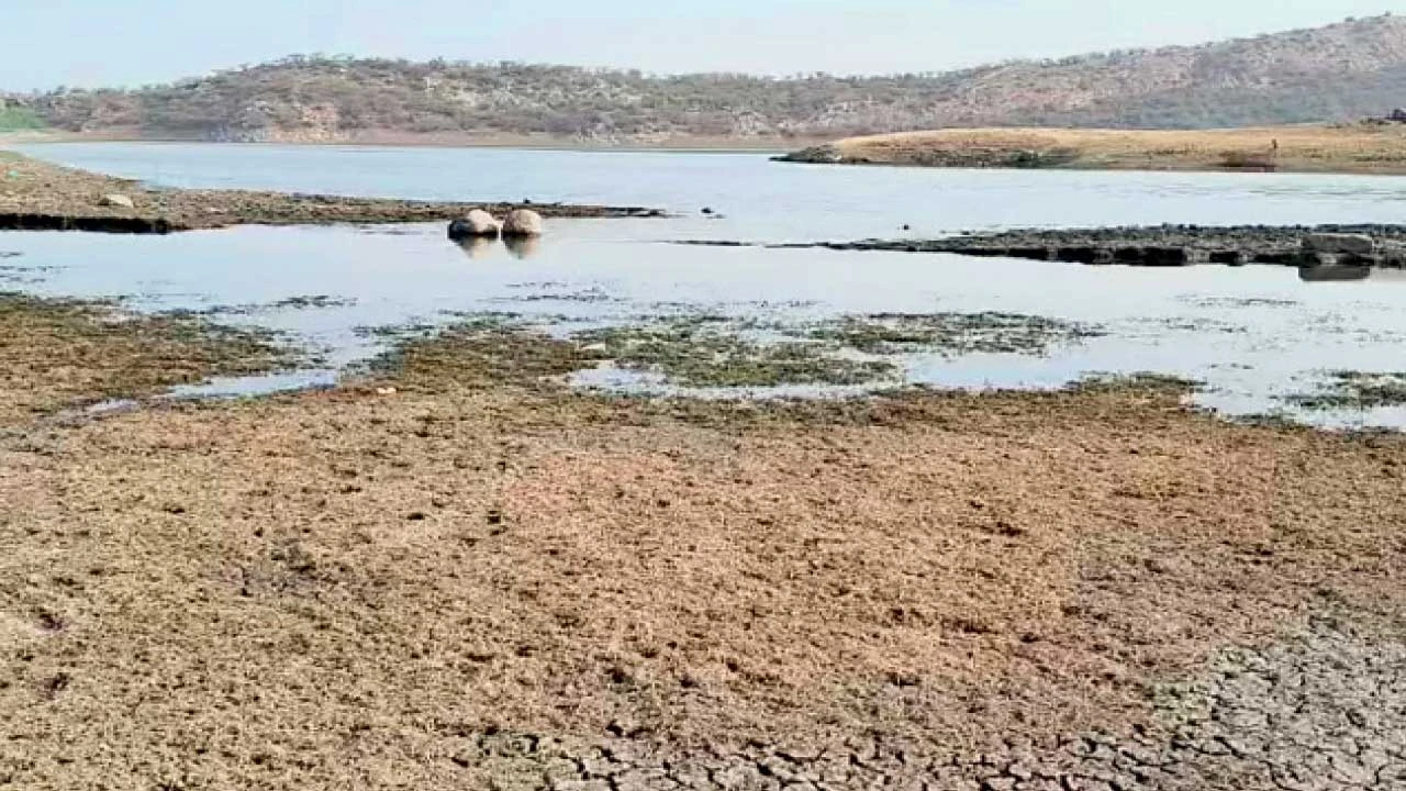 Disa : ઈકબાલગઢ પંથકમાં નહિવત વરસાદથી જળસંકટના એંધાણ
