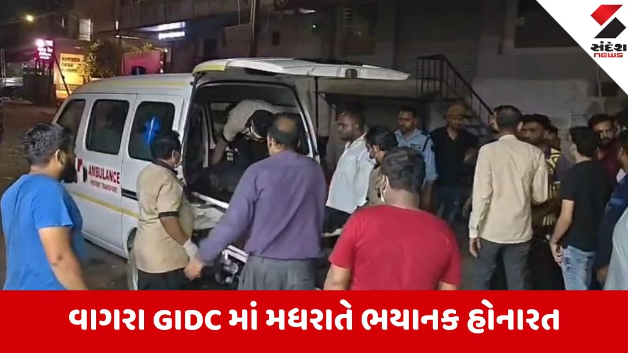 Bharuch: વાગરા GIDCમાં સિનઝીલ ફાર્માકેમ કંપનીમાં ભીષણ બ્લાસ્ટ; 5 કામદારોના દર્દનાક મોત, 15 કિમી સુધી સંભળાયો ધડાકો